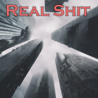 Real Shit - Full Cover cover